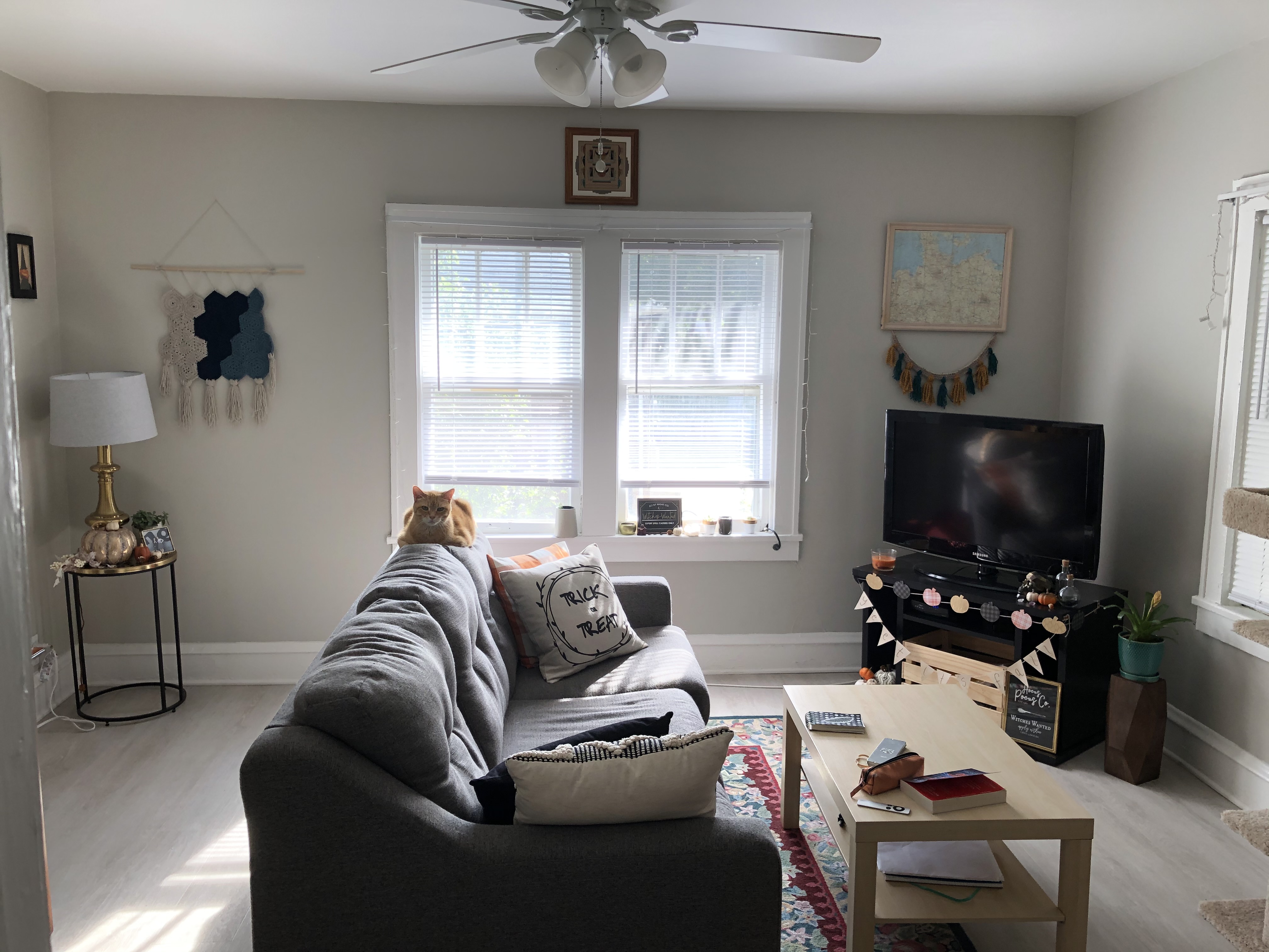 132 E Montana St - 4 Unit - Upper 4